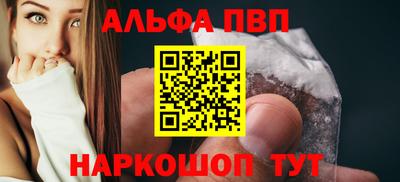 спиды Гай