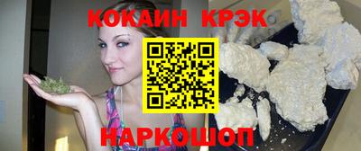 спиды Гай