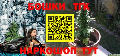 спиды Гай
