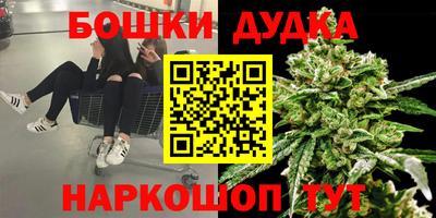 тгк Гатчина