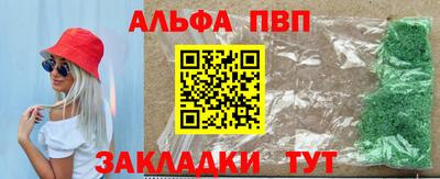 спиды Гай