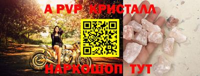 спиды Гай