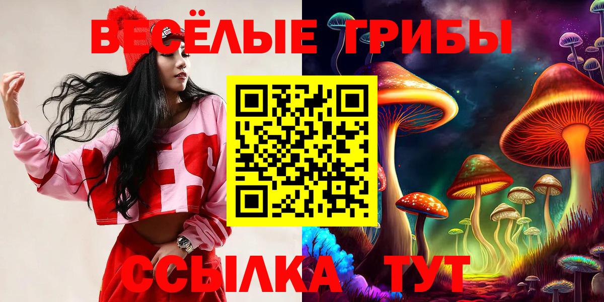 Малгобек  Галлюциногенные грибы ЛСД  Галлюциногенные грибы MAGIC MUSHROOMS  Вход с VPN 