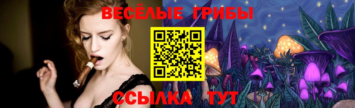 Галлюциногенные грибы мицелий Малгобек