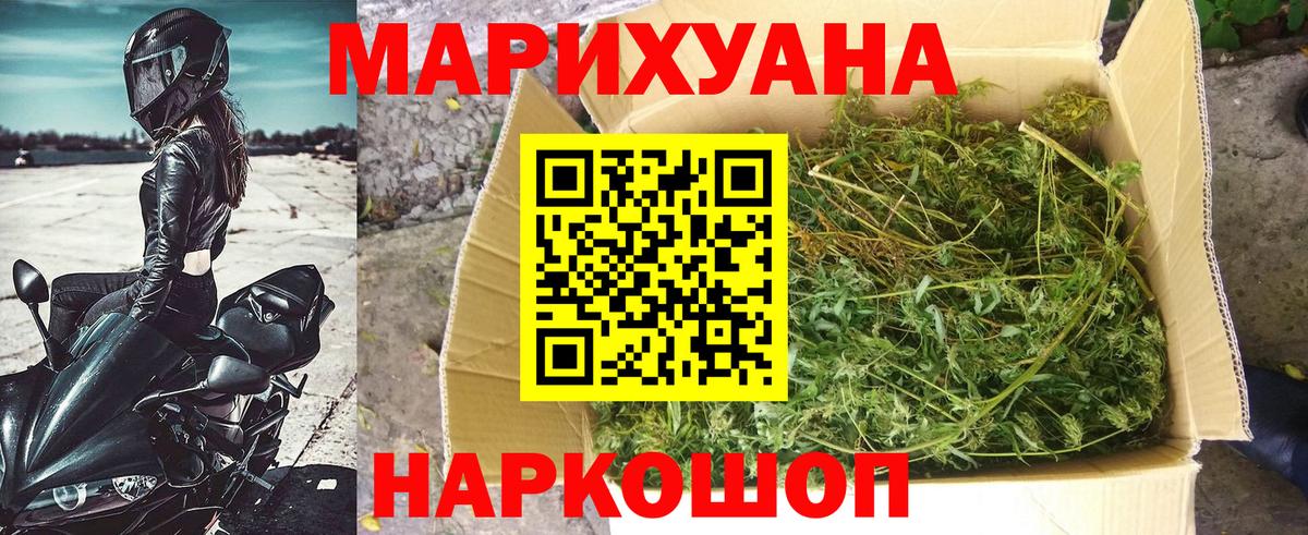 МАРИХУАНА Amnesia  Каннабис план  Малгобек  Марихуана сатива  МАРИХУАНА планчик  Вход с VPN 